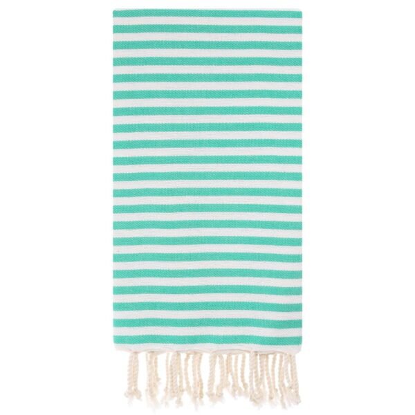 Zebra Beach & Bath Towels